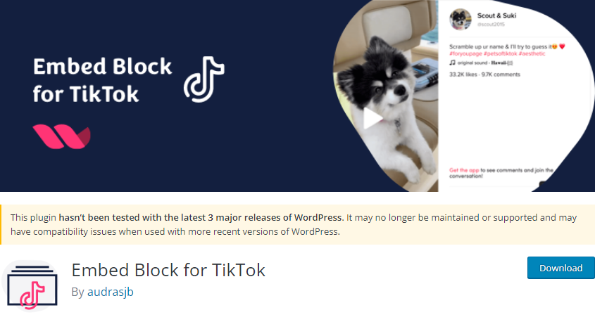 Embed Block for TikTok by audrasjb